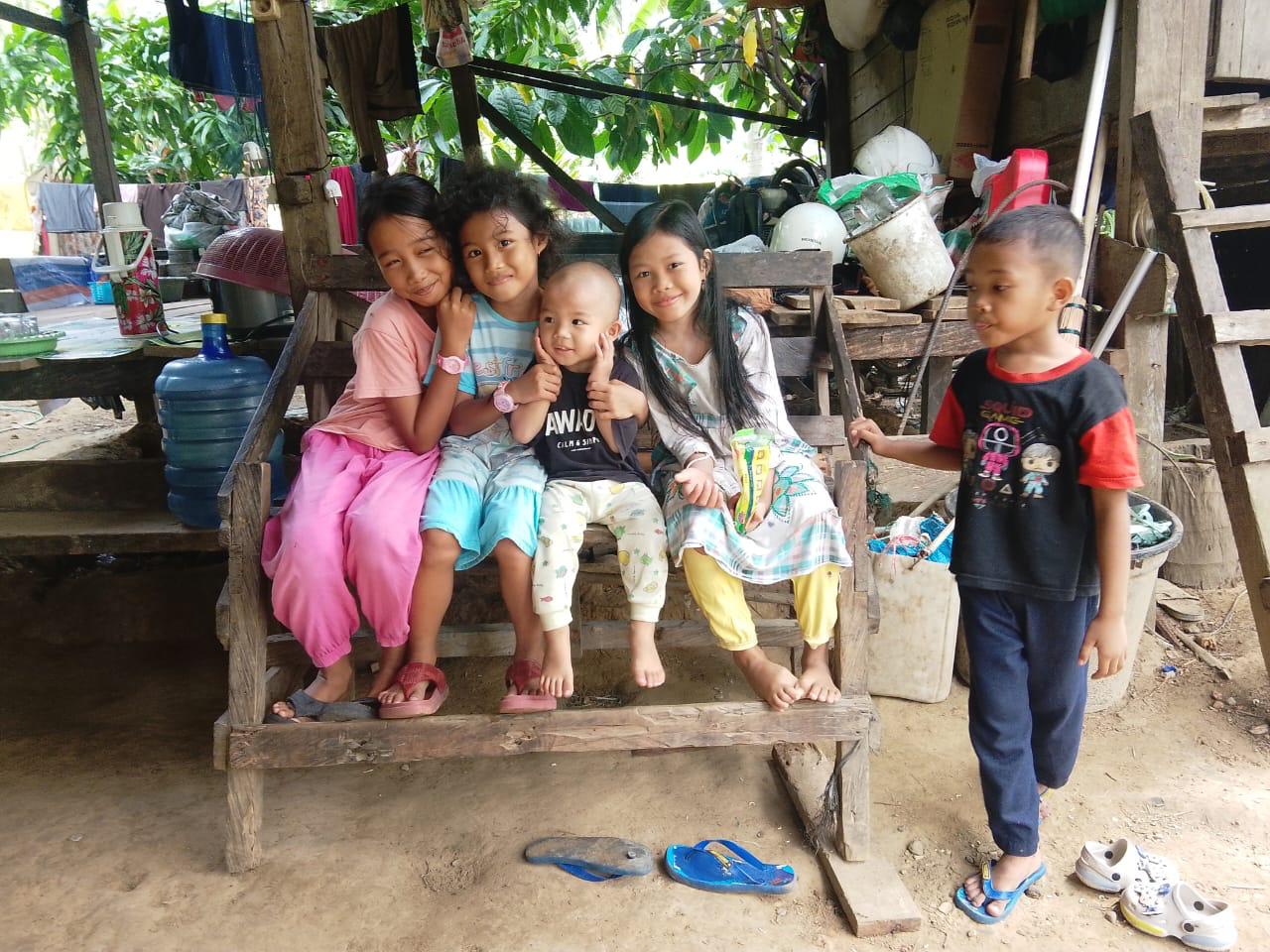 Panen kelapa di kebun
